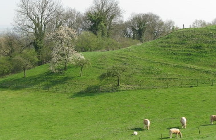 Natuurhuisje in Wijlre