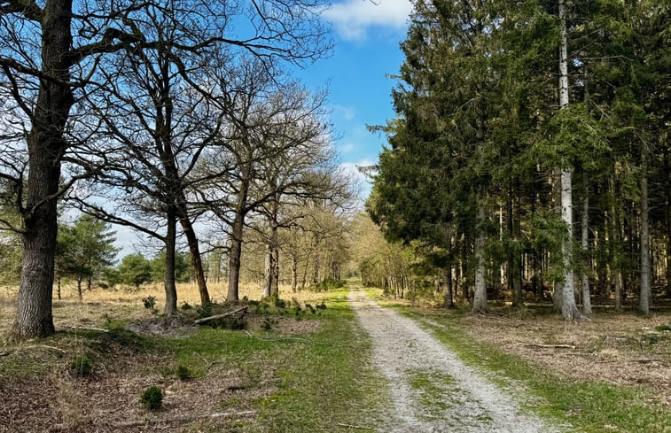 Natuurhuisje in Oude Willem