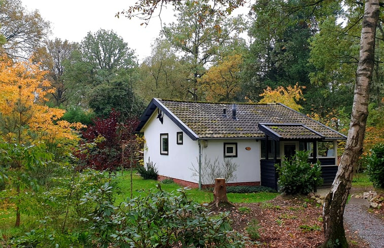 Natuurhuisje in Hooghalen