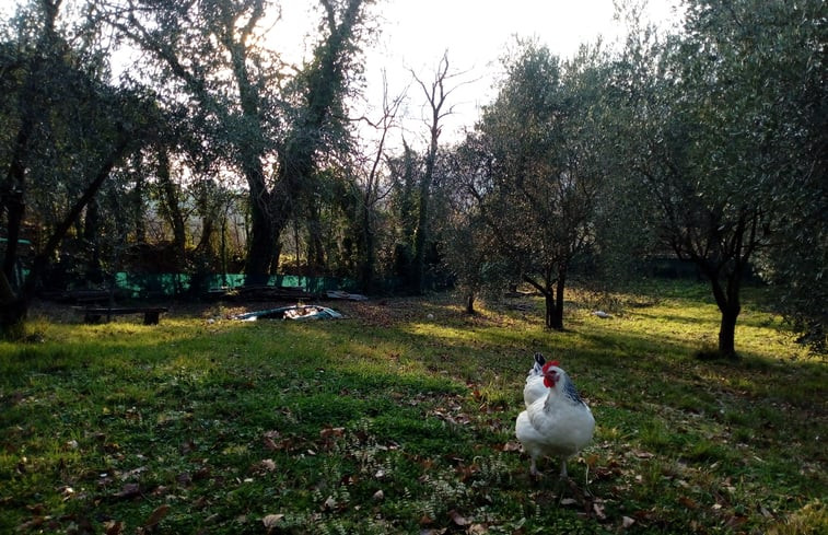 Natuurhuisje in Corinaldo