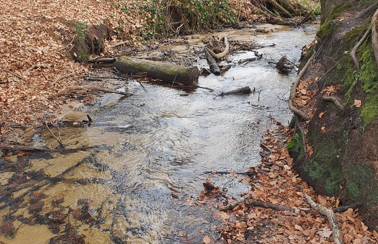 Natuurhuisje in Nutter