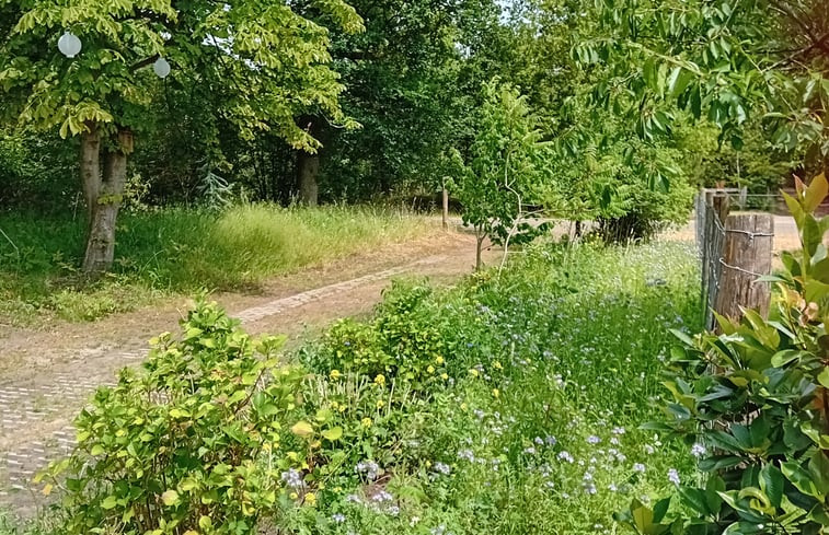 Natuurhuisje in de Lutte