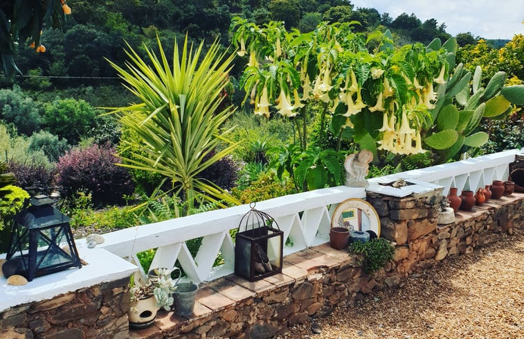 Natuurhuisje in Santa Catarina da Fonte do Bispo