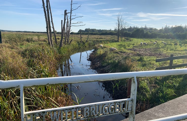 Natuurhuisje in Norg