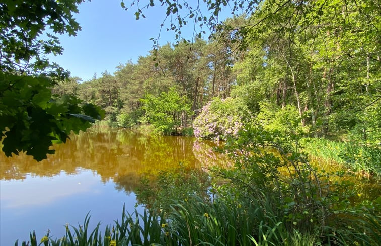 Natuurhuisje in Oisterwijk