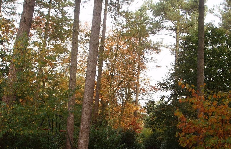 Natuurhuisje in Lage Mierde