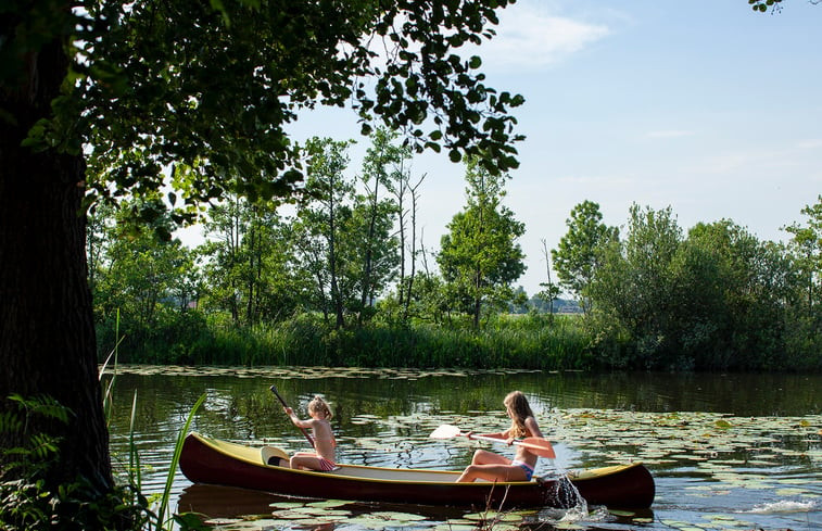 Natuurhuisje in Tienhoven