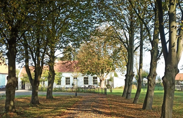 Natuurhuisje in Schouwen-Duiveland