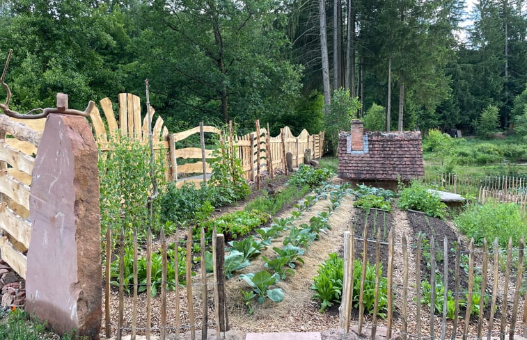 Natuurhuisje in Trippstadt