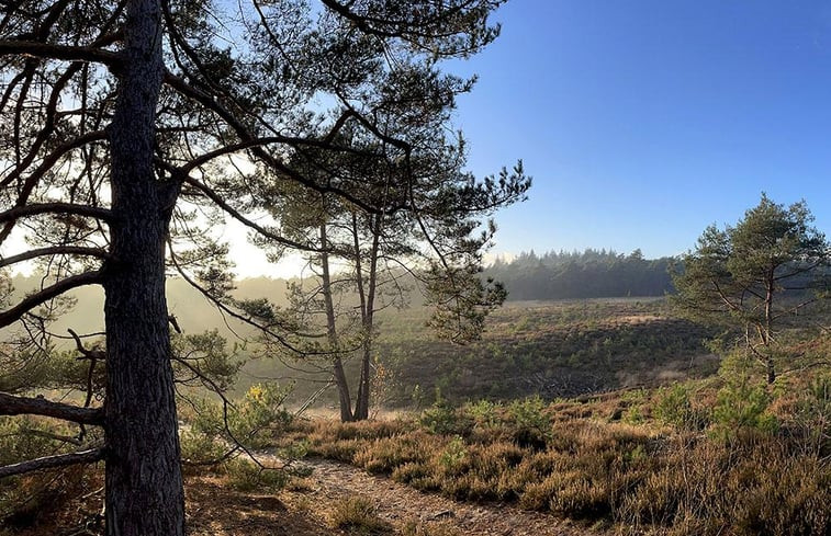 Natuurhuisje in Holten