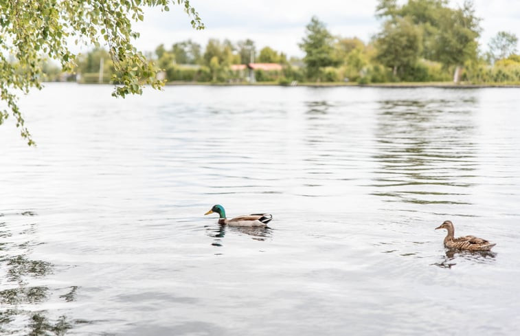 Natuurhuisje in Vinkeveen