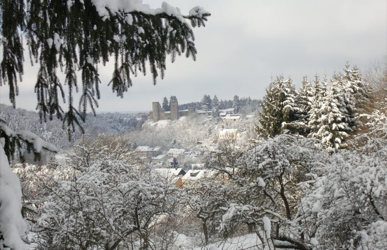 Natuurhuisje in Schönecken