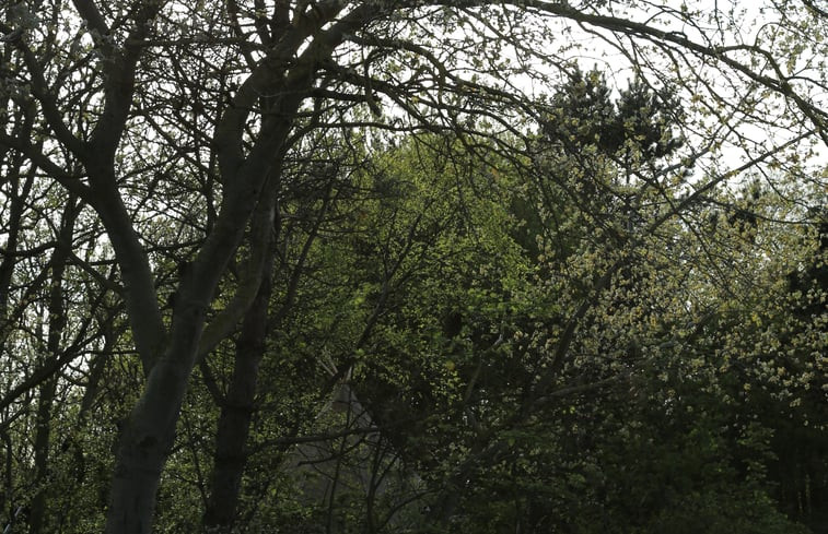 Natuurhuisje in Den Hoorn