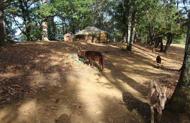 Natuurhuisje in Gensac de boulogne