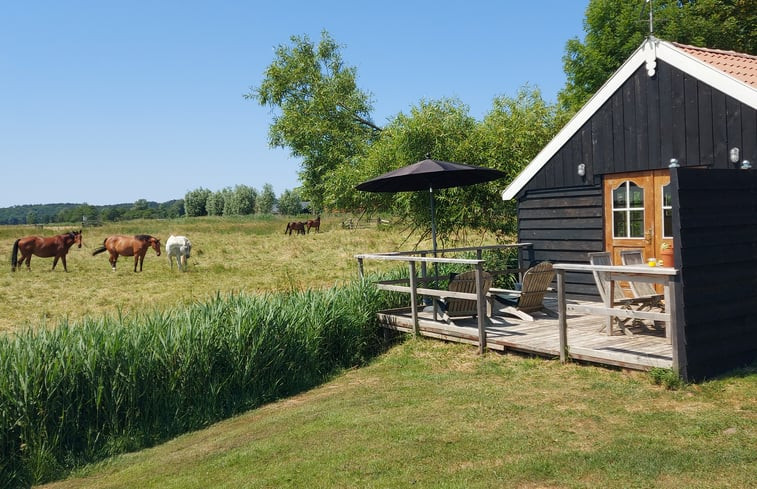 Natuurhuisje in Bergen