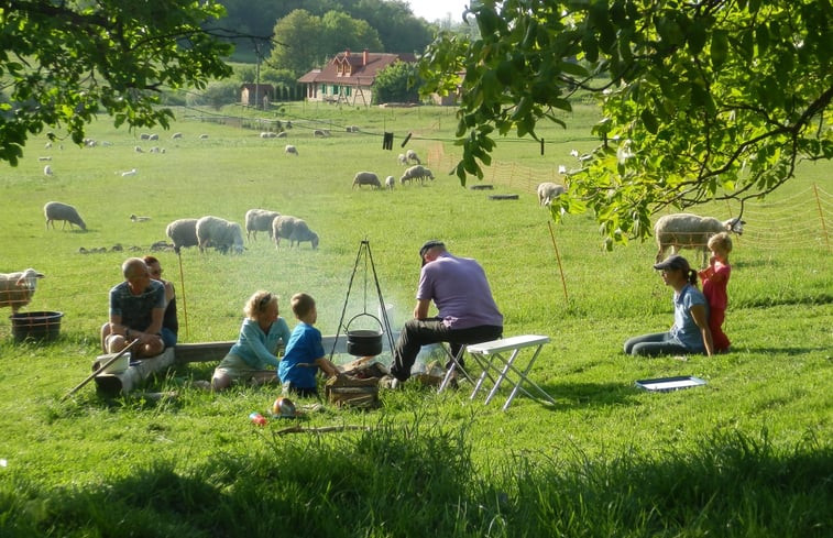 Natuurhuisje in Cerovo Lazy