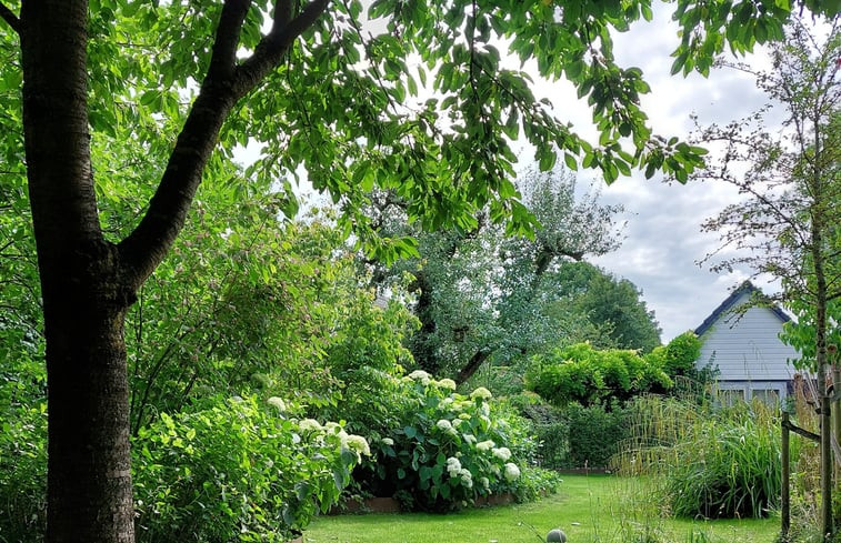 Natuurhuisje in Herwen