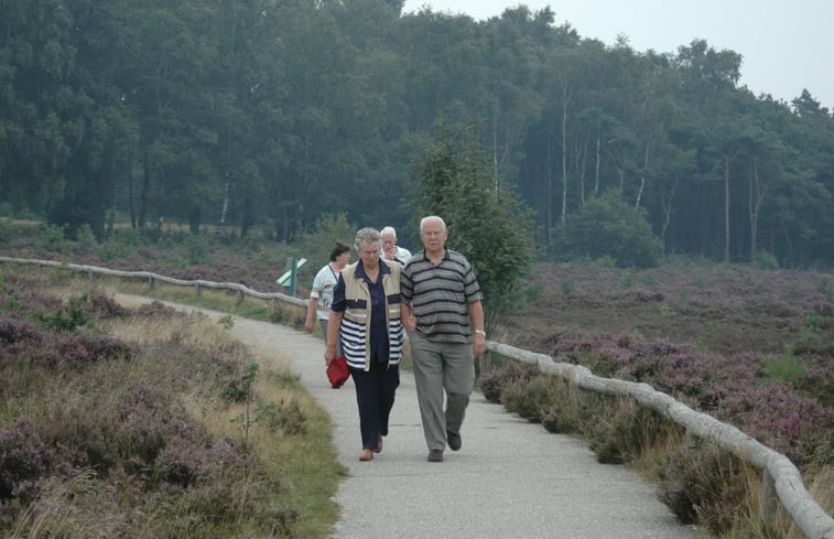 Natuurhuisje in Wierden