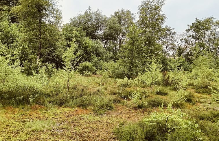 Natuurhuisje in Opende