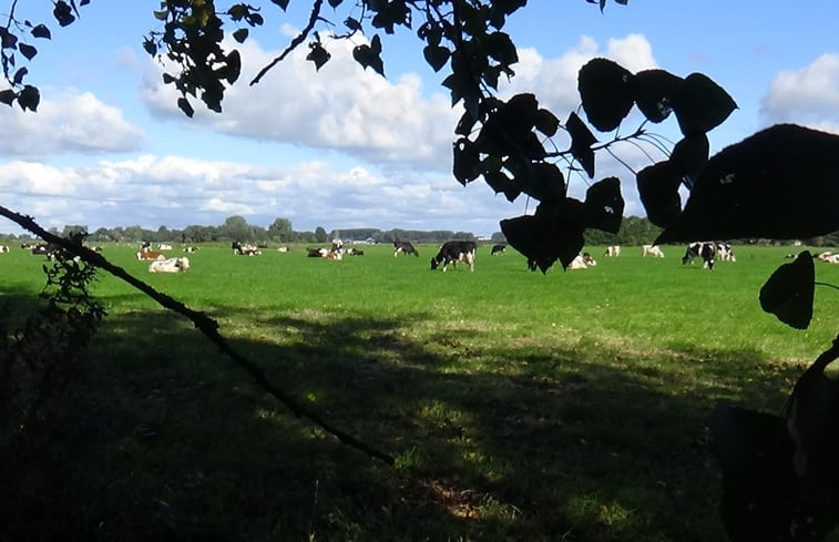 Natuurhuisje in Grou