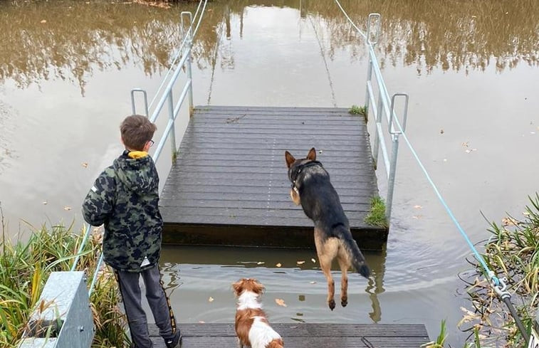 Natuurhuisje in Rijsbergen