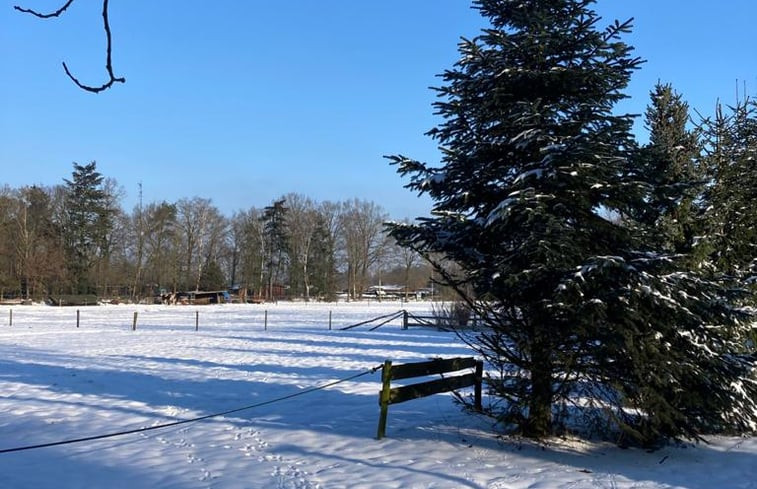 Natuurhuisje in Holten