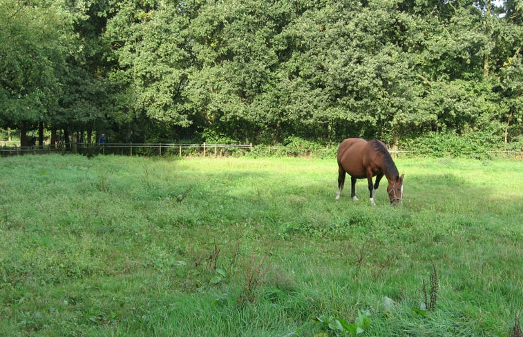 Natuurhuisje in Heeze