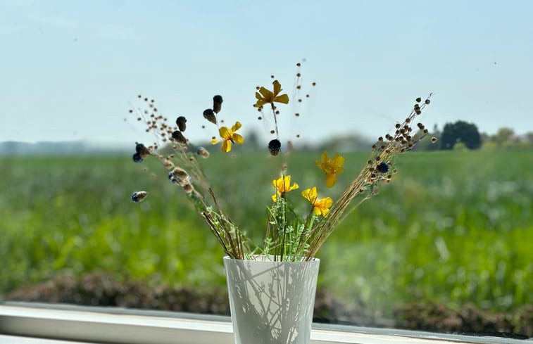 Natuurhuisje in Schoondijke