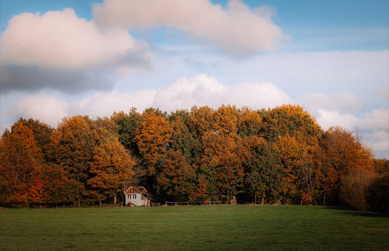 Natuurhuisje in Frederiksoord