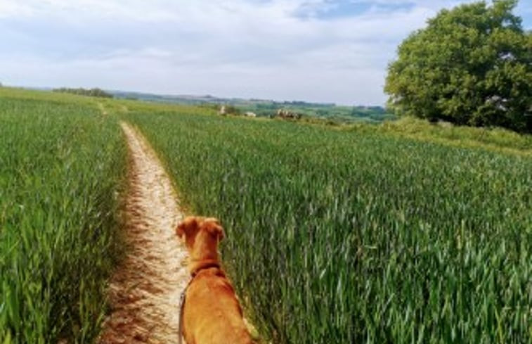 Natuurhuisje in mainbressy