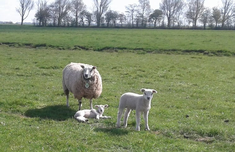 Natuurhuisje in Alphen aan den Rijn