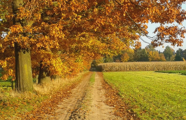 Natuurhuisje in Westendorp