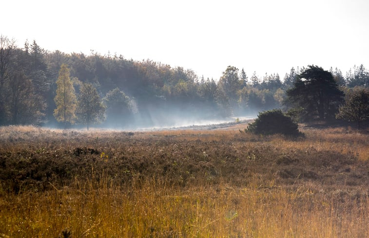 Natuurhuisje in Epe