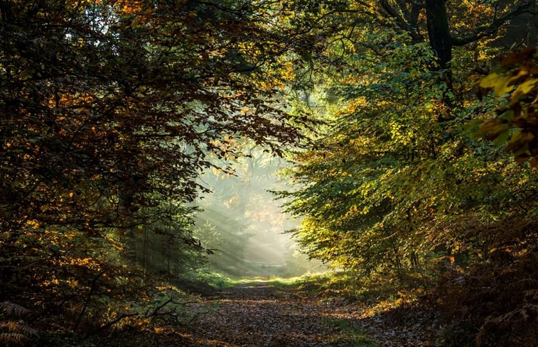 Natuurhuisje in Garderen