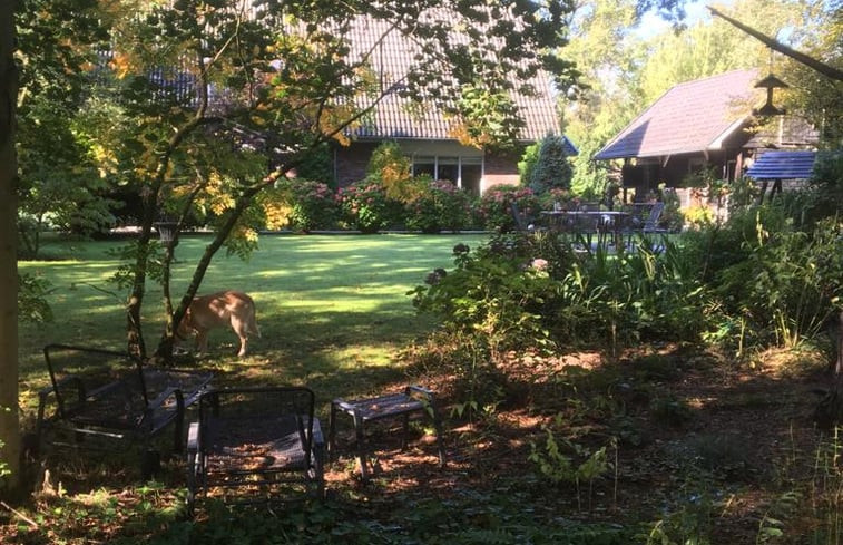 Natuurhuisje in Emst