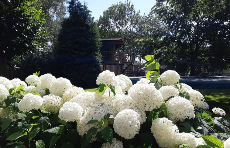 Natuurhuisje in Wouwse Plantage