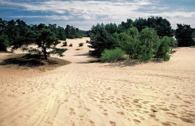 Natuurhuisje in Doornspijk