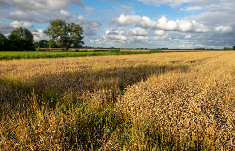 Natuurhuisje in Zuidwolde