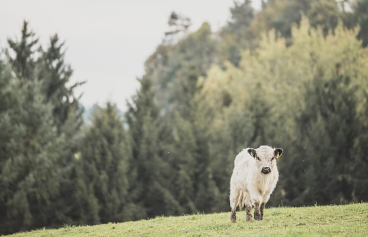 Natuurhuisje in Reut