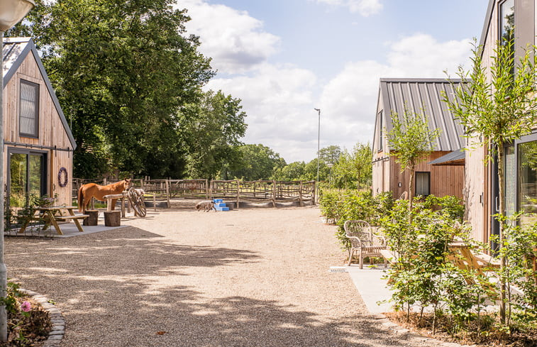 Natuurhuisje in Eersel