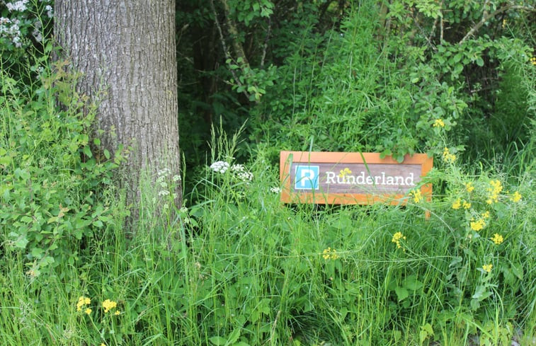 Natuurhuisje in Oldekerk