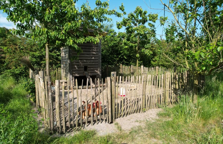 Natuurhuisje in Eersel