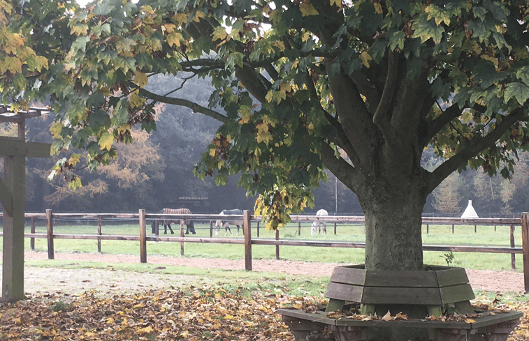 Natuurhuisje in Vaassen