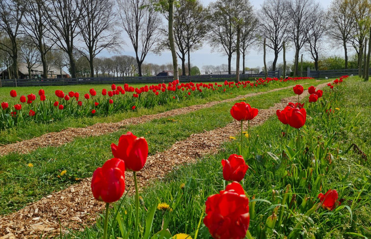 Natuurhuisje in Erp