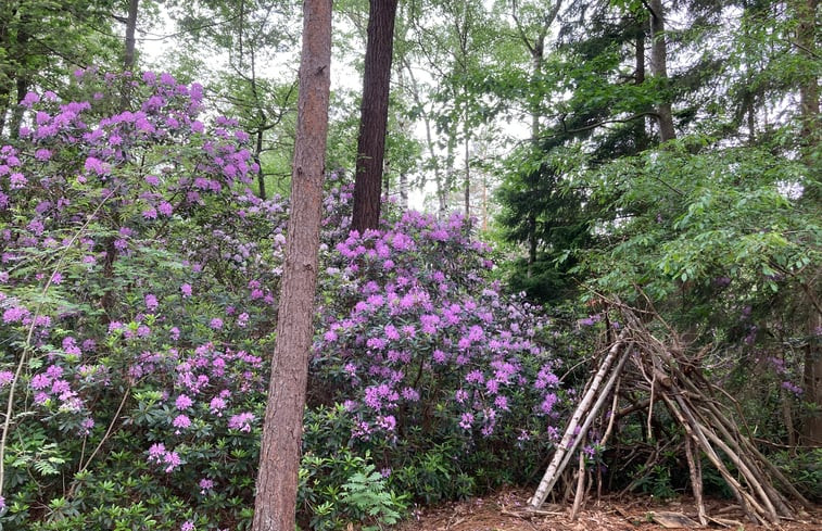 Natuurhuisje in Schijf