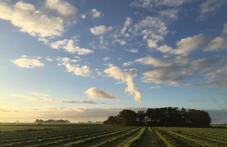 Natuurhuisje in Holwerd