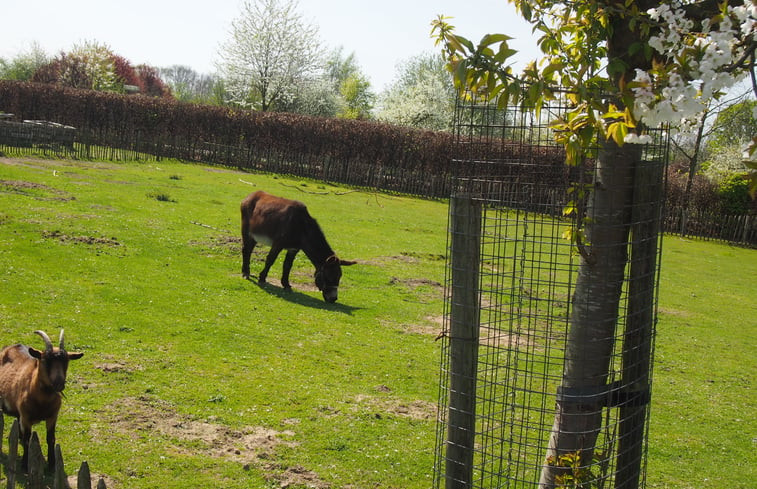 Natuurhuisje in Grathem (Leudal)