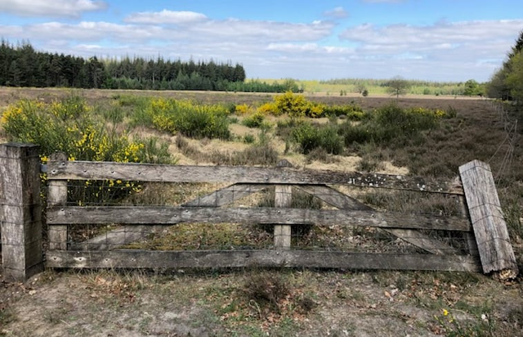 Natuurhuisje in Schoonloo