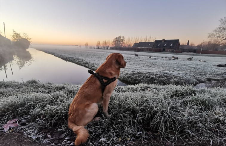 Natuurhuisje in Lopik