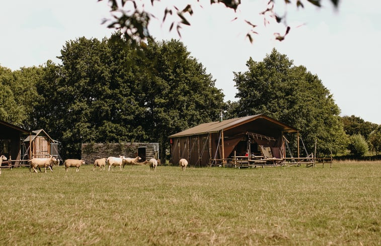 Natuurhuisje in Torhout